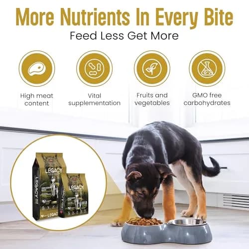 LEGACY High Protein Dog Food — Real Chicken & Turkey First Ingredient, Added Colostrum, Grain-Free, 25 lb | Supports Immunity & Digestion thumbnail 3