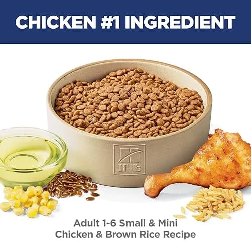 Hill's Science Diet Adult 1-6 Small & Mini Dry Dog Food, Chicken & Brown Rice, 2.04 kg (4.5 lb) | Veterinarian Recommended thumbnail 2