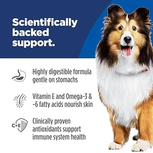 Hill's Science Diet Sensitive Stomach & Skin Dry Dog Food Chicken Recipe 13.6 kg (30 lb) | Veterinarian Recommended thumbnail 4