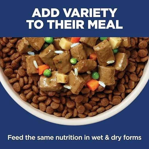 Hill's Science Diet Sensitive Stomach & Skin Dry Dog Food Chicken & Barley 7.03 kg (15.5 lb) | Veterinarian Recommended Formula thumbnail 8
