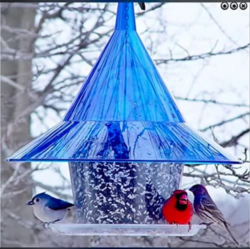 Sky Cafe Squirrel Proof Bird Feeder for Outside | Large, 17 in. Diameter, 1.5 Gallon Capacity, Made in USA thumbnail 4