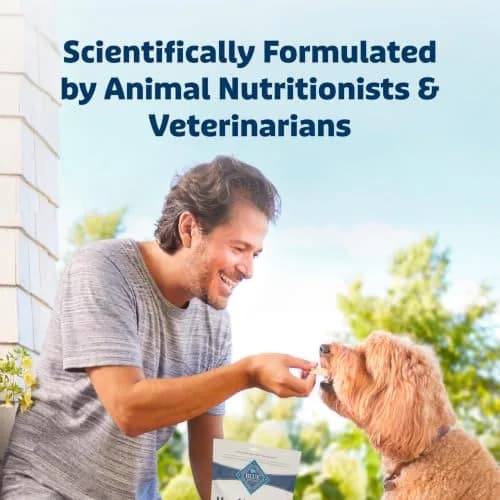 Blue Buffalo Health Bars Pumpkin & Cinnamon Dog Biscuits 454g (16 oz) | Oven-Baked Natural Dog Treats thumbnail 7