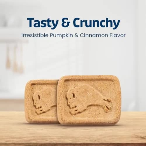 Blue Buffalo Health Bars Pumpkin & Cinnamon Dog Biscuits 454g (16 oz) | Oven-Baked Natural Dog Treats thumbnail 8