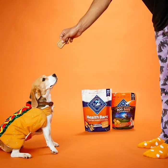 Blue Buffalo Health Bars Pumpkin & Cinnamon Dog Biscuits 454g (16 oz) | Oven-Baked Natural Dog Treats thumbnail 3