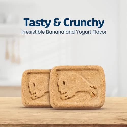Blue Buffalo Health Bars Bananas & Yogurt Dog Biscuits 454g (16 oz) | Oven-Baked Crunchy Treats for All Breed Sizes thumbnail 6