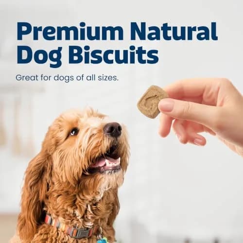 Blue Buffalo Health Bars Apples & Yogurt Dog Biscuits 454g (16 oz) | Oven-Baked Natural Dog Treats thumbnail 2