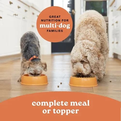 CANIDAE All Life Stages Wet Dog Food, Chicken & Rice, 13 oz, 12 Pack | Complete Nutrition for All Dogs thumbnail 3