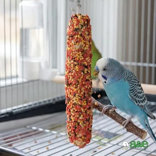 Vitapol Strawberry Treat Sticks for Parakeets & Budgies, 2 Pack | 2.86 oz (81 g) Bird Treat Sticks thumbnail 5