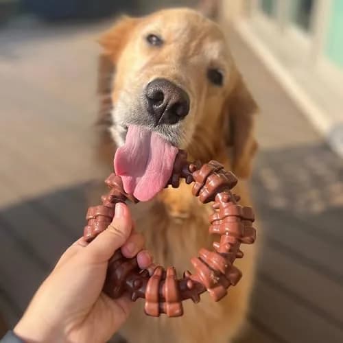 Nylabone Textured Ring Power Chew Toy for X-Large Dogs 50+ lbs | Durable Nylon Chew Toy for Aggressive Chewers thumbnail 7