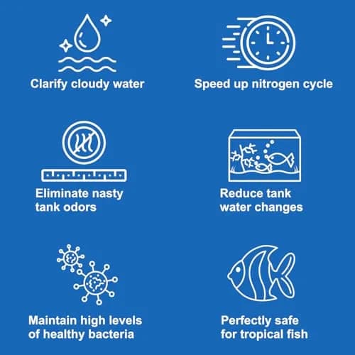 EcoBio-Block Aquarium Water Clarifier (Medium, 15–40 gal) | Crystal Clear Water, 2-Year Lasting Natural Solution thumbnail 5