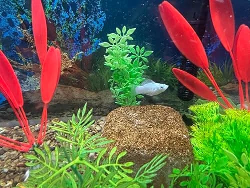 EcoBio-Block Aquarium Water Clarifier (Medium, 15–40 gal) | Crystal Clear Water, 2-Year Lasting Natural Solution thumbnail 6
