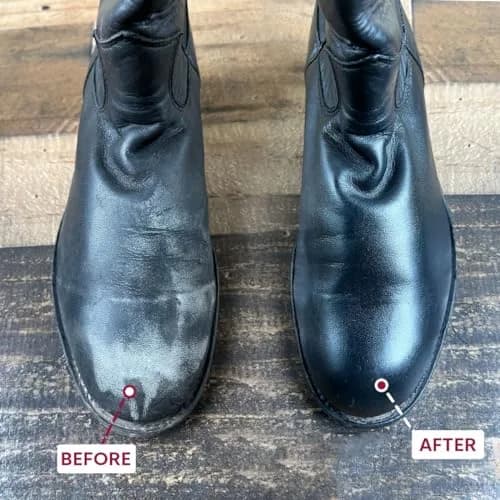 Tarrago Shoe Cream Professional Shoe Polish 50ml (1.7 Fl Oz) | Eco-Friendly Leather Conditioner for Boots, Purses, Furniture thumbnail 3