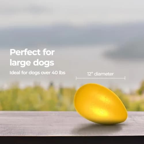 Jolly Pets Jolly Egg Herding Dog Toy, 12 inch (30.48 cm) Yellow, Large | Unpredictable Chase for Active Dogs thumbnail 6