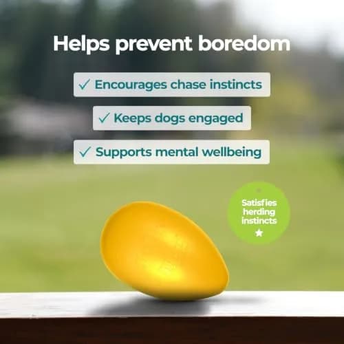 Jolly Pets Jolly Egg Herding Dog Toy, 12 inch (30.48 cm) Yellow, Large | Unpredictable Chase for Active Dogs thumbnail 2