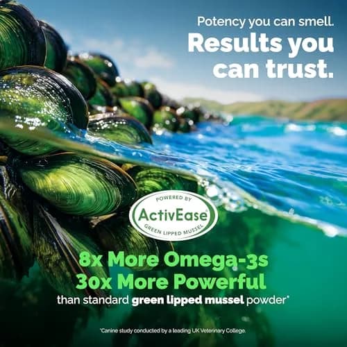 YuMOVE Dog Hip & Joint Supplement Regular Strength 60 Chewable Tablets | Vet-Formulated with ActivEase Green Lipped Mussel thumbnail 5