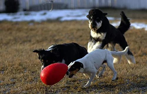 Jolly Pets Jolly Egg Dog Toy Medium 8 Inches Red | Erratic Motion Fetch & Float Toy thumbnail 5