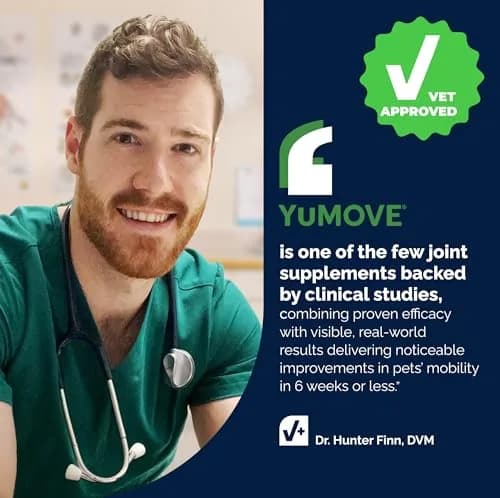 YuMOVE Dog Hip & Joint Supplement Regular Strength 120 Chewable Tablets | Vet-Recommended for Active Adults & Early Seniors thumbnail 8
