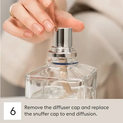 MAISON BERGER Sweet Pear Refill 500ml (16.9 Fl Oz) | French Fragrance & Odor Neutralizer thumbnail 8