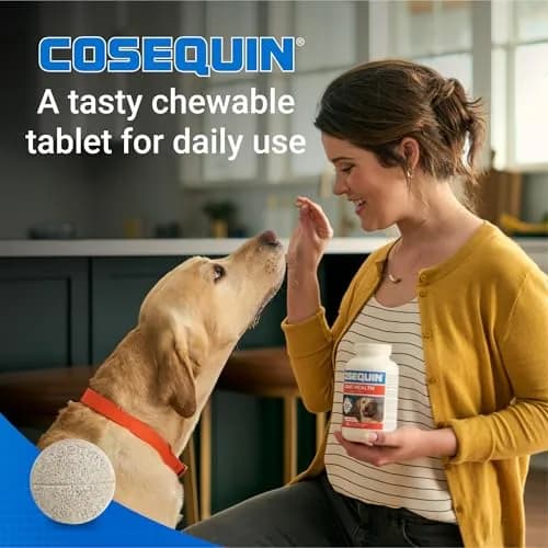 Nutramax Cosequin Joint Supplement for Dogs, Glucosamine & Chondroitin Chew Tabs, 60 Count | Supports Healthy Joints for All Breeds & Ages thumbnail 5