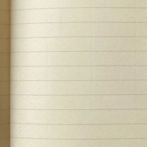 Life Noble Notebook B5 257mm x 183mm | Horizontal Ruled 8mm Lines thumbnail 2