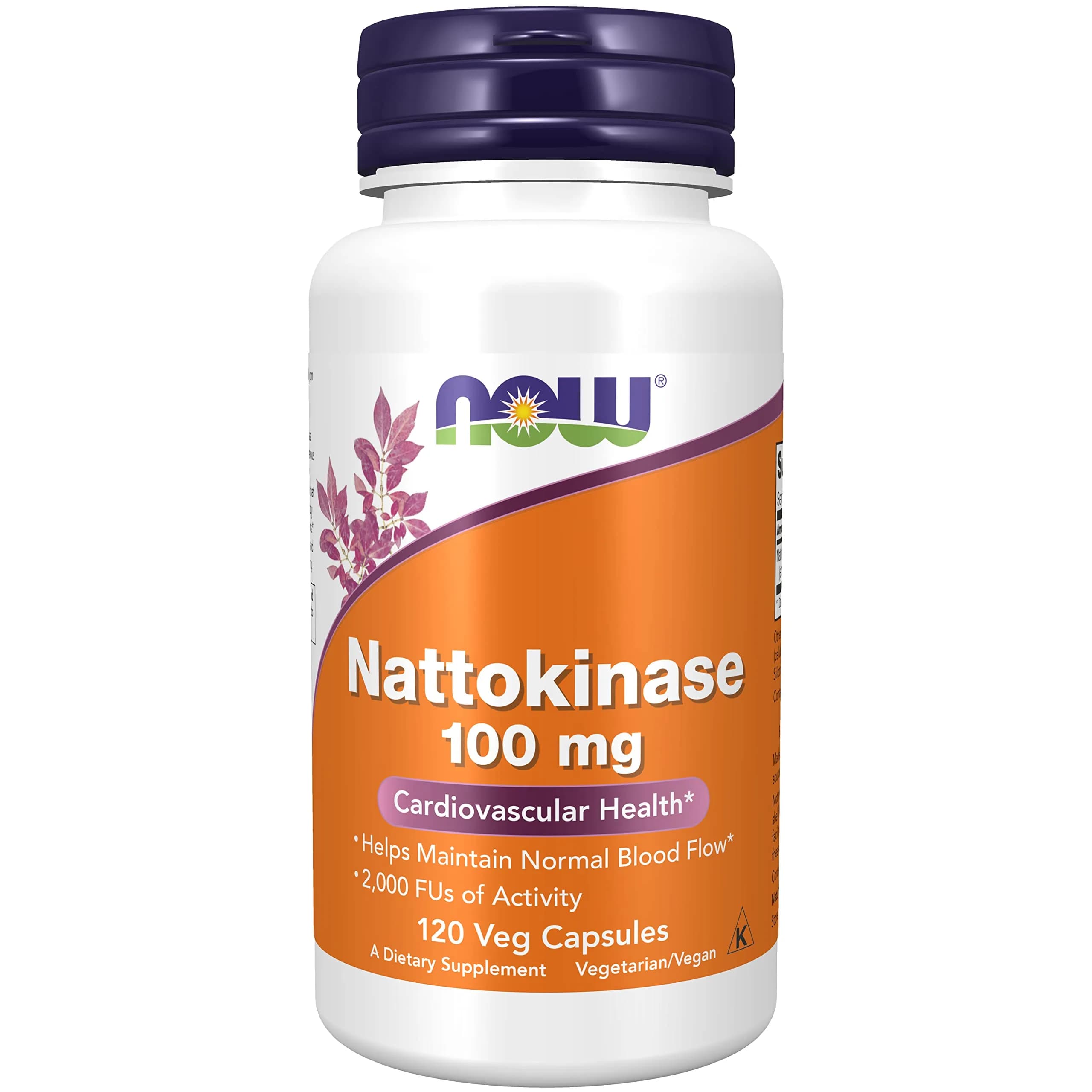 NOW Foods Nattokinase 100 mg 240 VegiCaps (Pack of 2) | Promotes Circulatory Health with 2000 FU — Diyme-c7433