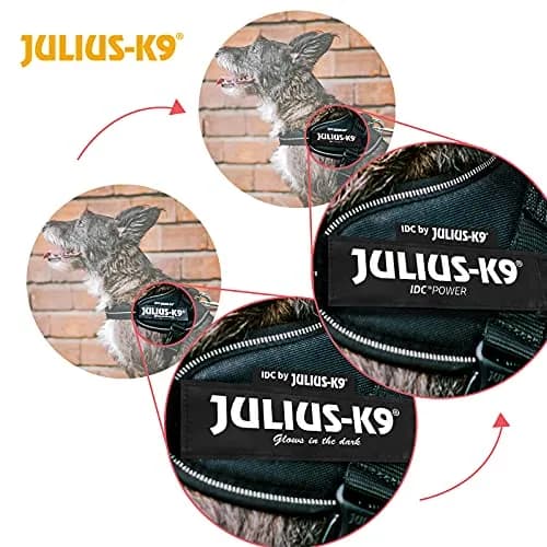 Julius-K9 IDC Powerharness Dog Harness Size 1 (26-33.5 inch Chest) | Reflective, Water-Repellent, European-Made thumbnail 3