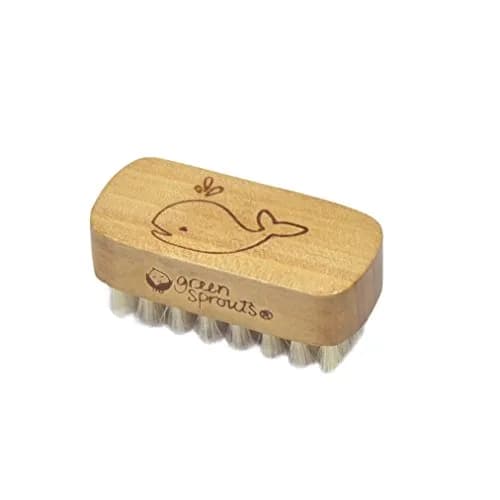 Green Sprouts Nail Brush | Soft Natural Bristles for Baby's Nails, Small Size, Green Handle thumbnail 1