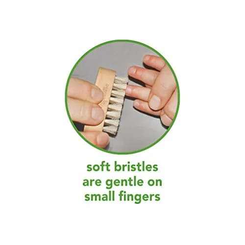 Green Sprouts Nail Brush | Soft Natural Bristles for Baby's Nails, Small Size, Green Handle thumbnail 6