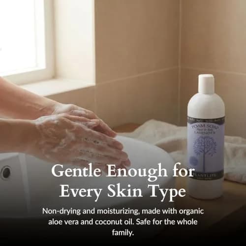 Plantlife Lavender Foam Soap Refill 473ml (16 Fl Oz) | Gentle Moisturizing Body Wash for All Skin Types thumbnail 3
