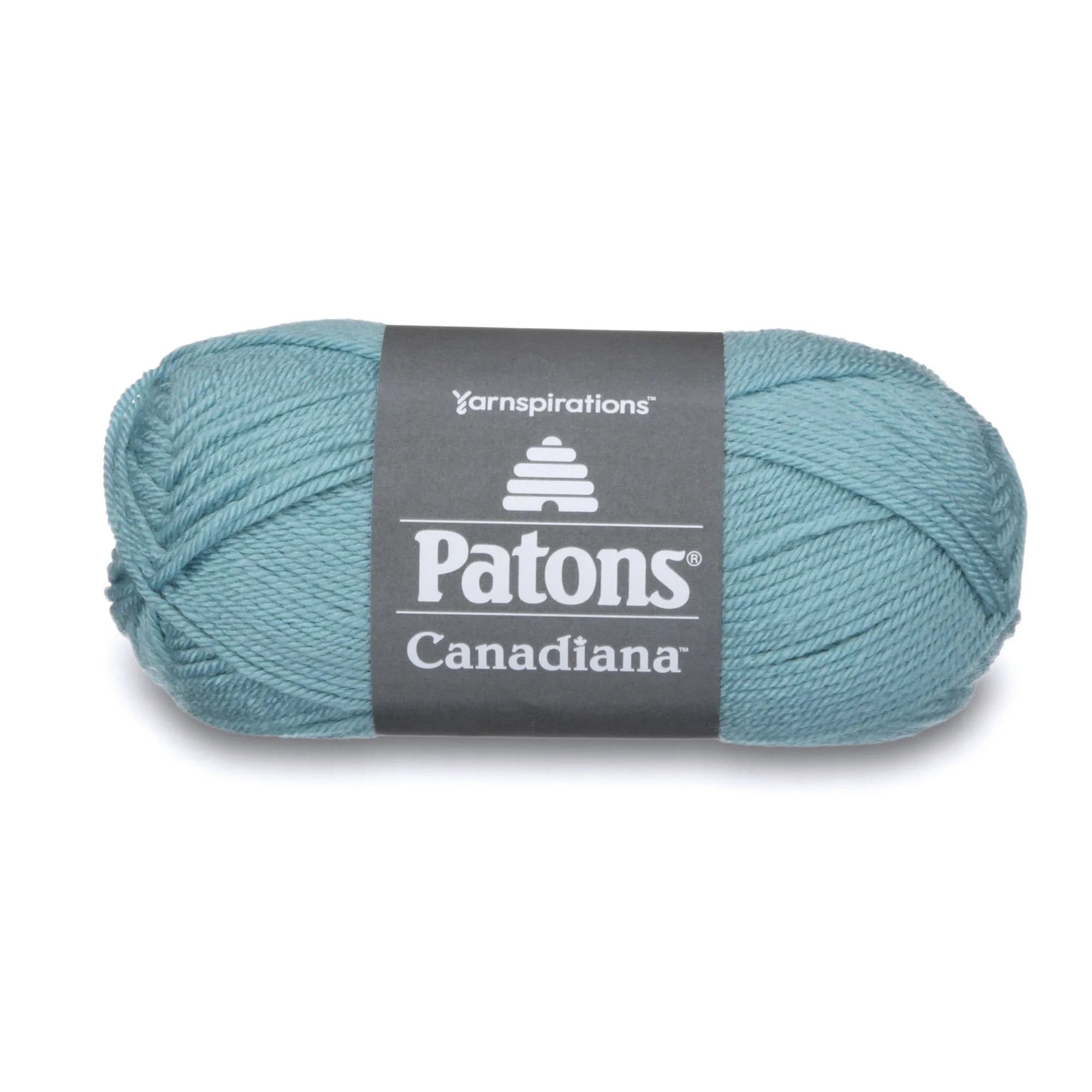 Patons Canadiana Yarn Solids Pale Teal 100g (3.5oz) | Worsted Weight Acrylic for Knitting & Crochet - main product image