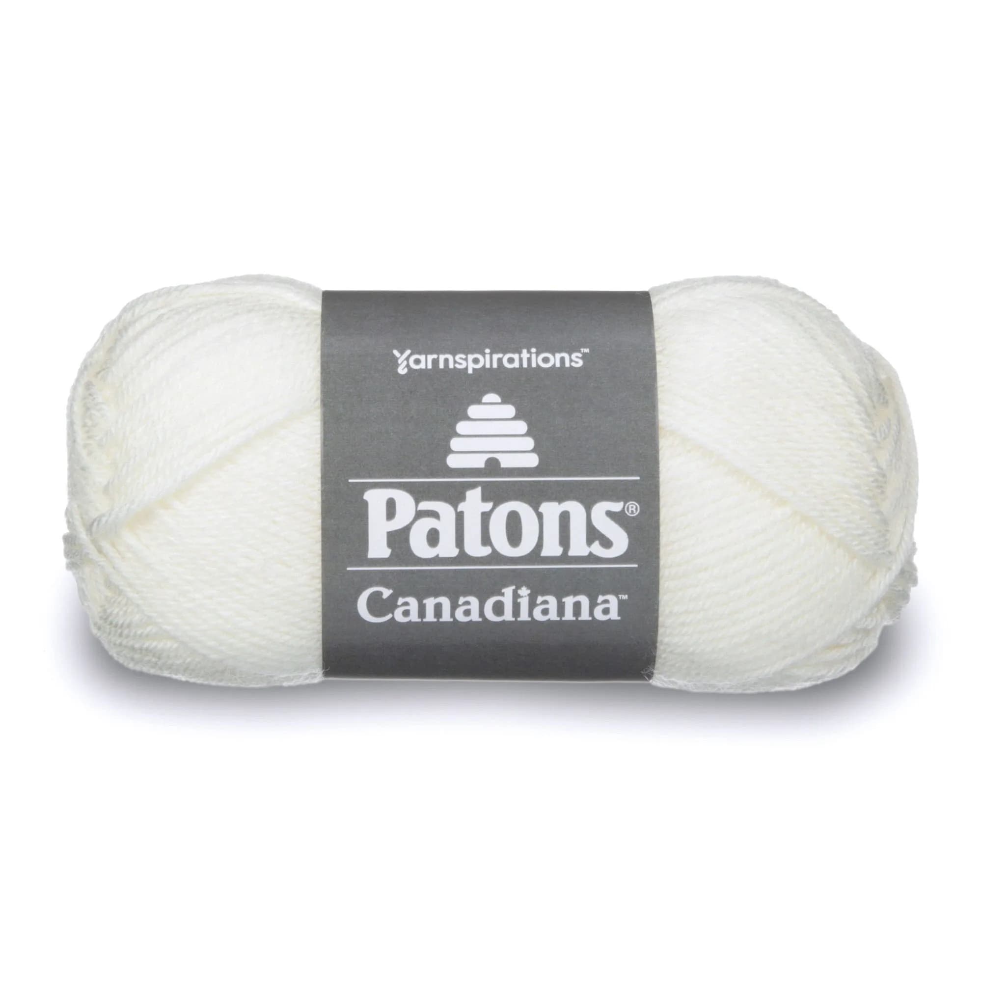 Patons Canadiana Yarn Solids Pale Teal 100g (3.5oz) | Worsted Weight Acrylic for Knitting & Crochet — Winter White