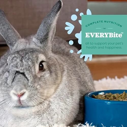 Oxbow Essentials Young Rabbit Food 4.54 kg (10 lb) | High-Fiber Alfalfa Pellets for Healthy Digestion thumbnail 4