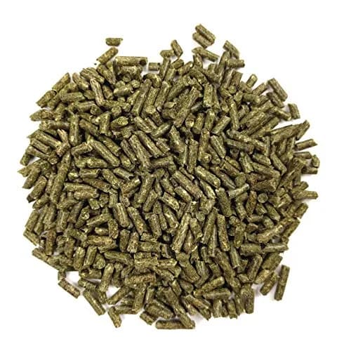 Oxbow Essentials Young Rabbit Food 4.54 kg (10 lb) | High-Fiber Alfalfa Pellets for Healthy Digestion thumbnail 6