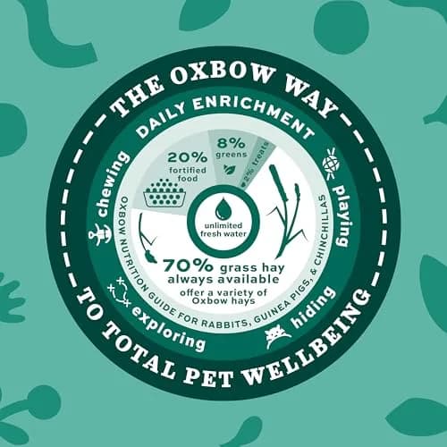 Oxbow Essentials Young Rabbit Food 4.54 kg (10 lb) | High-Fiber Alfalfa Pellets for Healthy Digestion thumbnail 7