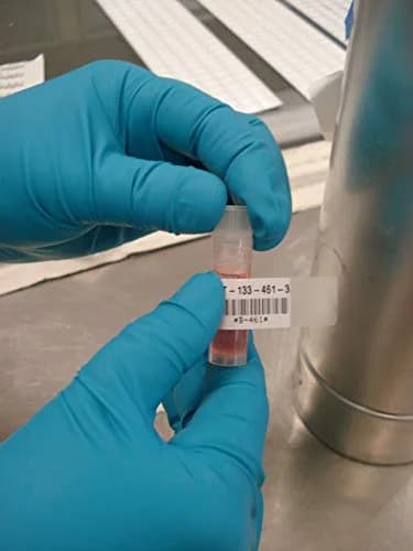 Brady M21-375-461 Extreme-Temp Resistant Label 9.5mm (0.375") W x 6.4m (21' L) | Thermal Transfer Label for Lab, Equipment, Asset Tracking thumbnail 2