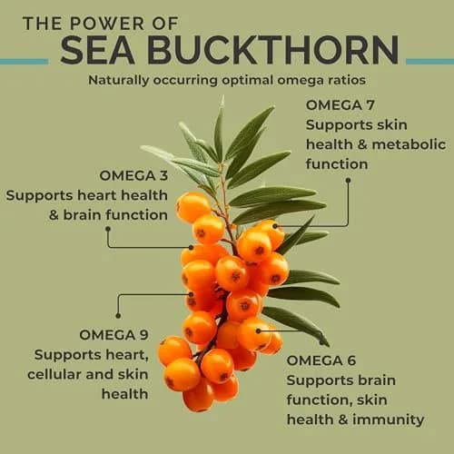 SEABUCKWONDERS Organic Sea Buckthorn Oil Omega-7 Complete, 120 Softgels thumbnail 4