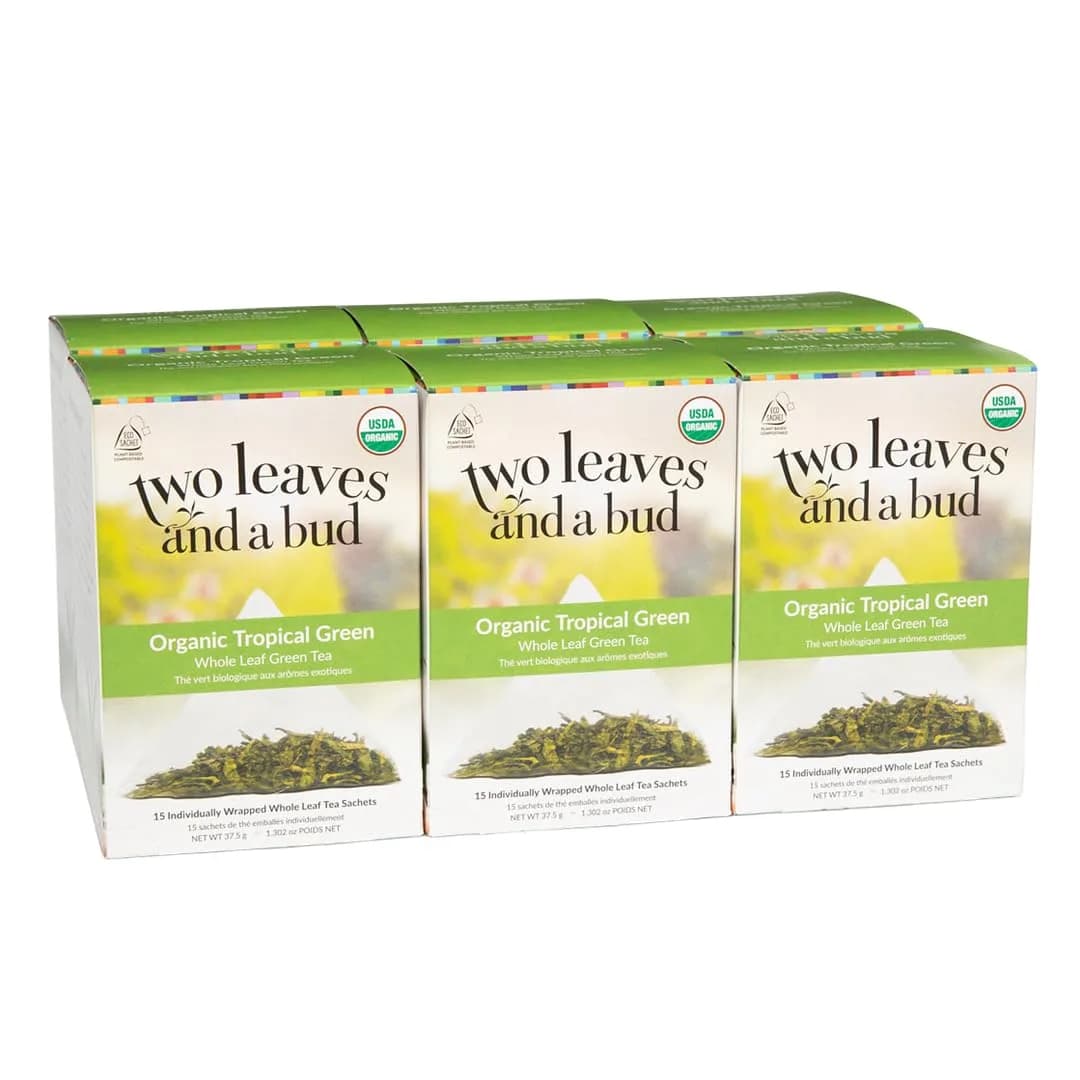 Two Leaves and a Bud Organic Tropical Green Tea Bags, 15 Count | Refreshing, Full Leaf Sencha in Eco-Pack - main product image
