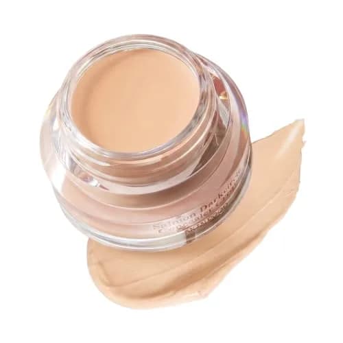 SKINFOOD Salmon PDRN Dark Circle Concealer Cream - 0.35 Oz | Full Coverage for Dark Spots & Wrinkles thumbnail 1