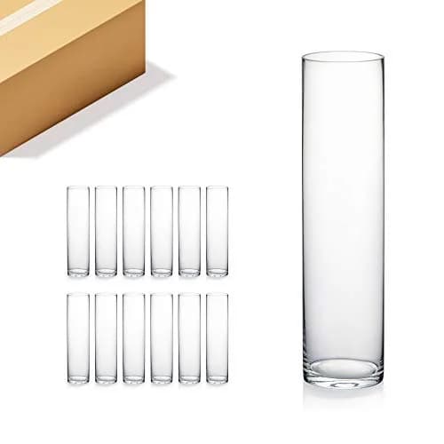 WGVI Thick Weighted Clear Cylinder Glass Vases 3" W x 12" H | Elegant Floral Display thumbnail 1