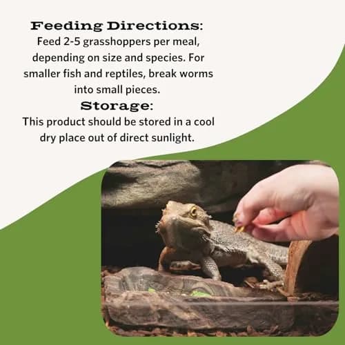 Fluker's Freeze Dried Grasshoppers 48g (1.7 oz) | Nutrient-Packed Reptile Food thumbnail 3