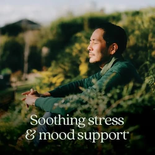 New Chapter Perfect Calm Stress Multivitamin 144 Count | Supports Mood & Stress, Fermented with Organic Botanicals thumbnail 2