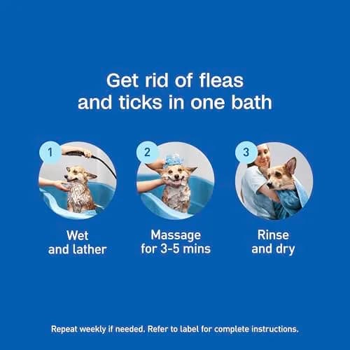 ADAMS Plus Flea & Tick Shampoo with Precor for Dogs, Cats, Puppies & Kittens, 355ml (12 Fl Oz) | Kills Fleas, Eggs, Ticks & Lice thumbnail 9