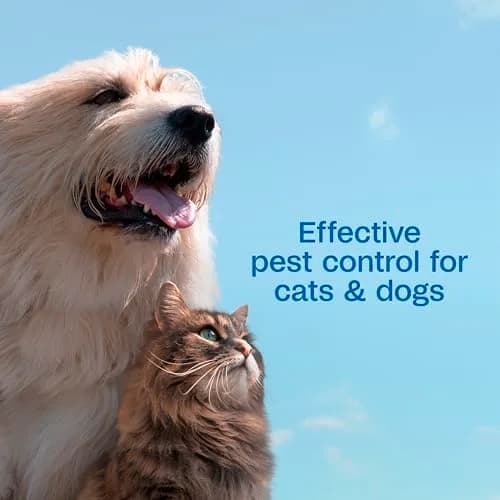 ADAMS Plus Flea & Tick Shampoo with Precor for Dogs, Cats, Puppies & Kittens, 355ml (12 Fl Oz) | Kills Fleas, Eggs, Ticks & Lice thumbnail 4