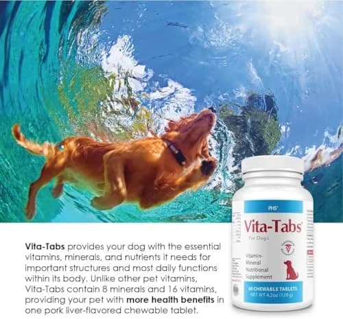 Vita-Tabs Multivitamin & Mineral Supplement for Dogs | Liver Flavored Chewable Tablets for Skin, Coat & Energy, 60 Chews thumbnail 7