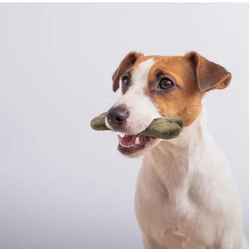 Pet Health Solutions Bonies Natural Calming Formula Dog Treats - Chicken, 20 Bones | Supports Anxiety & Breath thumbnail 5