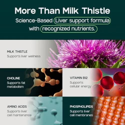 LIVERITE Liver Aid 2-Pack 150 Capsules | Supports Liver Function & Energy thumbnail 5