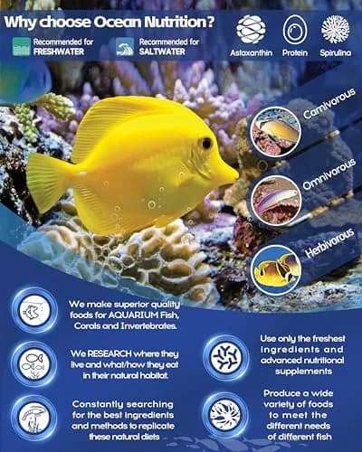 Ocean Nutrition Fish Feeder Seaweed Clips for Saltwater Fish | Aquarium Suction Cups, Holds Food Intact, Prolongs Feeding Process (1 Count, Pack of 36) thumbnail 7