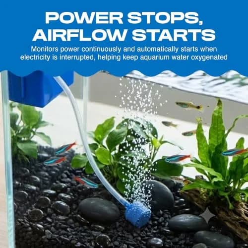 Penn-Plax Silent-Air Aquarium Air Pump with Battery Backup for Fish Tanks up to 29 Gallons | Emergency Power Outage Support thumbnail 2