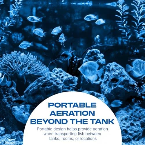 Penn-Plax Silent-Air Aquarium Air Pump with Battery Backup for Fish Tanks up to 29 Gallons | Emergency Power Outage Support thumbnail 3