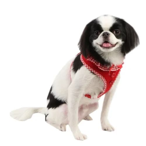 Puppia Vivien Harness Red Medium | Breathable Checkered Dog Vest Harness thumbnail 4